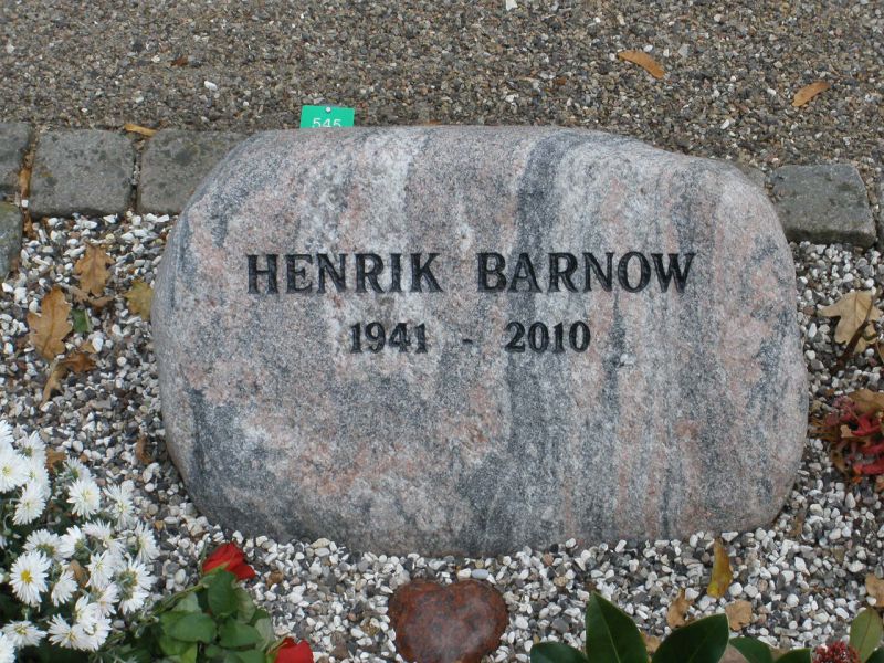 Henrik Barnow.JPG